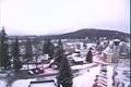 Srní