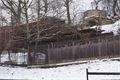 Tady už vyrůstá nový pavilon opiček drápkatých.