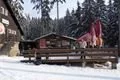 SDC17317