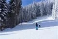 SDC17321
