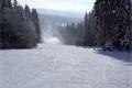 SDC17323