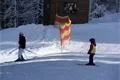 SDC17327