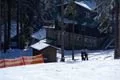 SDC17330