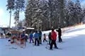 SDC17335