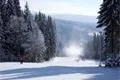 SDC17342