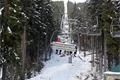 SDC17371