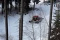 SDC17374
