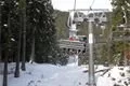 SDC17377