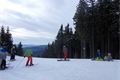 SDC17395