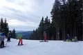SDC17395