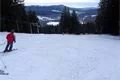 SDC17399