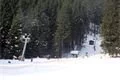 SDC17402