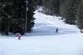 SDC17405