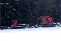 SDC17444
