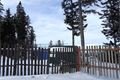 SDC17386