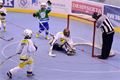 PLZxHOSOpoharstarosty-gol2