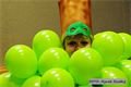 img00033