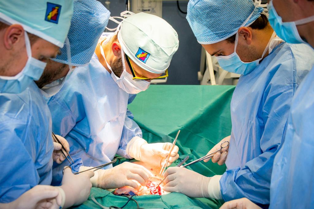 Do Plzně se sjeli medici z celého světa, získávají zkušenosti v chirurgii - FOTKY