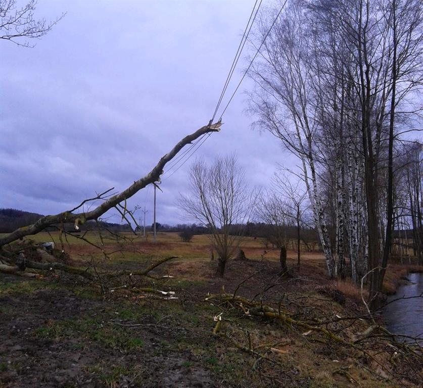 Kalamitní stav! Tisíce lidí v Plzeňském kraji zůstávají bez proudu – FOTKY