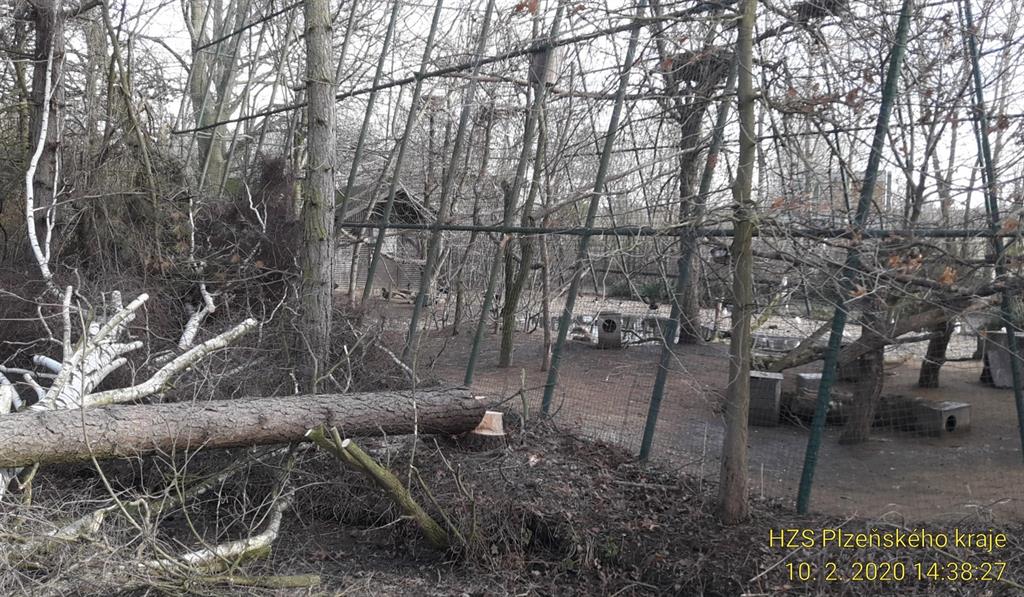 Parkům, lesům a turistickým stezkám se raději vyhněte!  - FOTKY