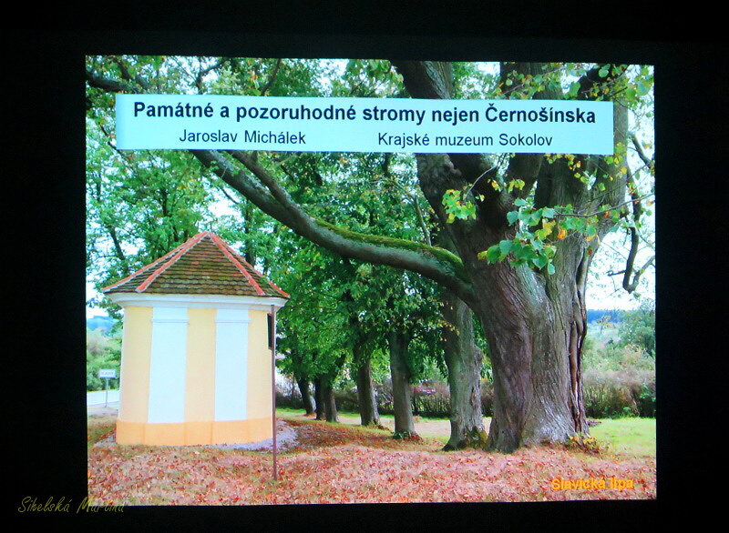 S unikátními staletými stromy se seznámili posluchači v Černošíně - FOTKY!
