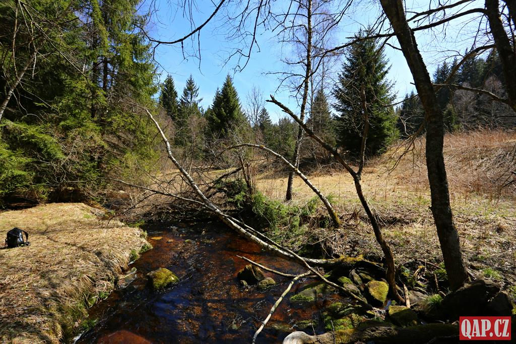 Na Šumavě stále platí zákaz vstupu do některých oblastí poničených bouřkou
