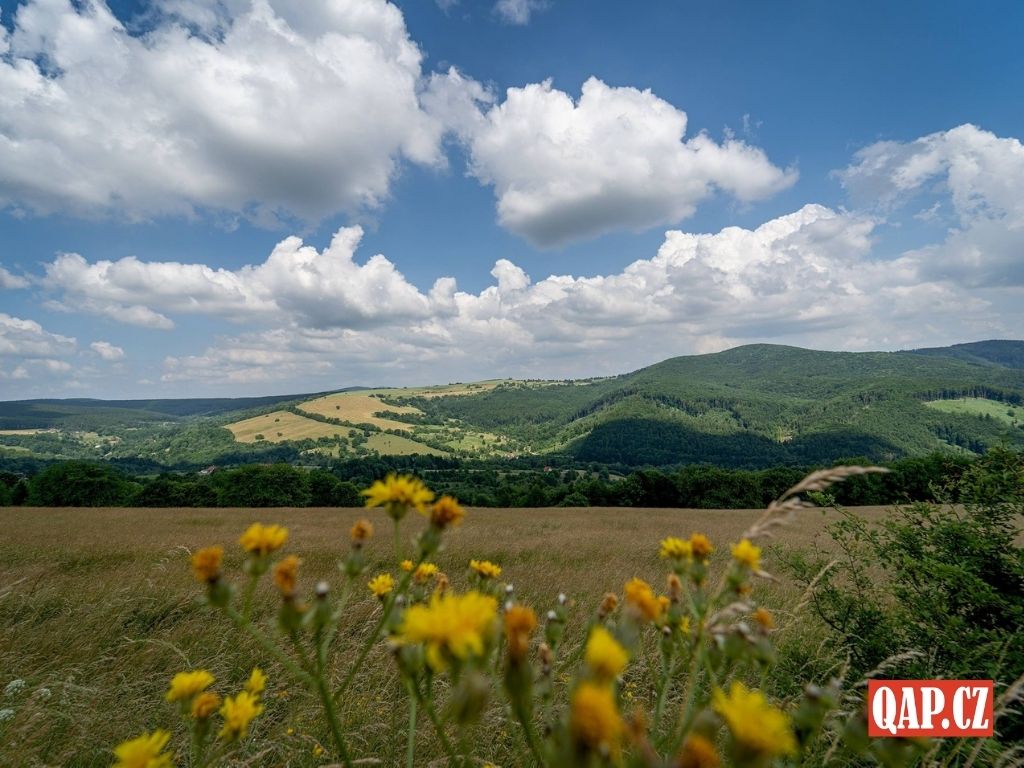 Teploty opět vystoupají až k 38 stupňům. Přinášíme nejnovější předpověď