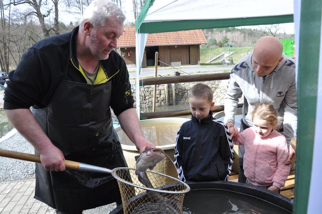 Kapr k Velikonocům patří stejně jako mazanec. Začíná velikonoční prodej ryb u Košináře