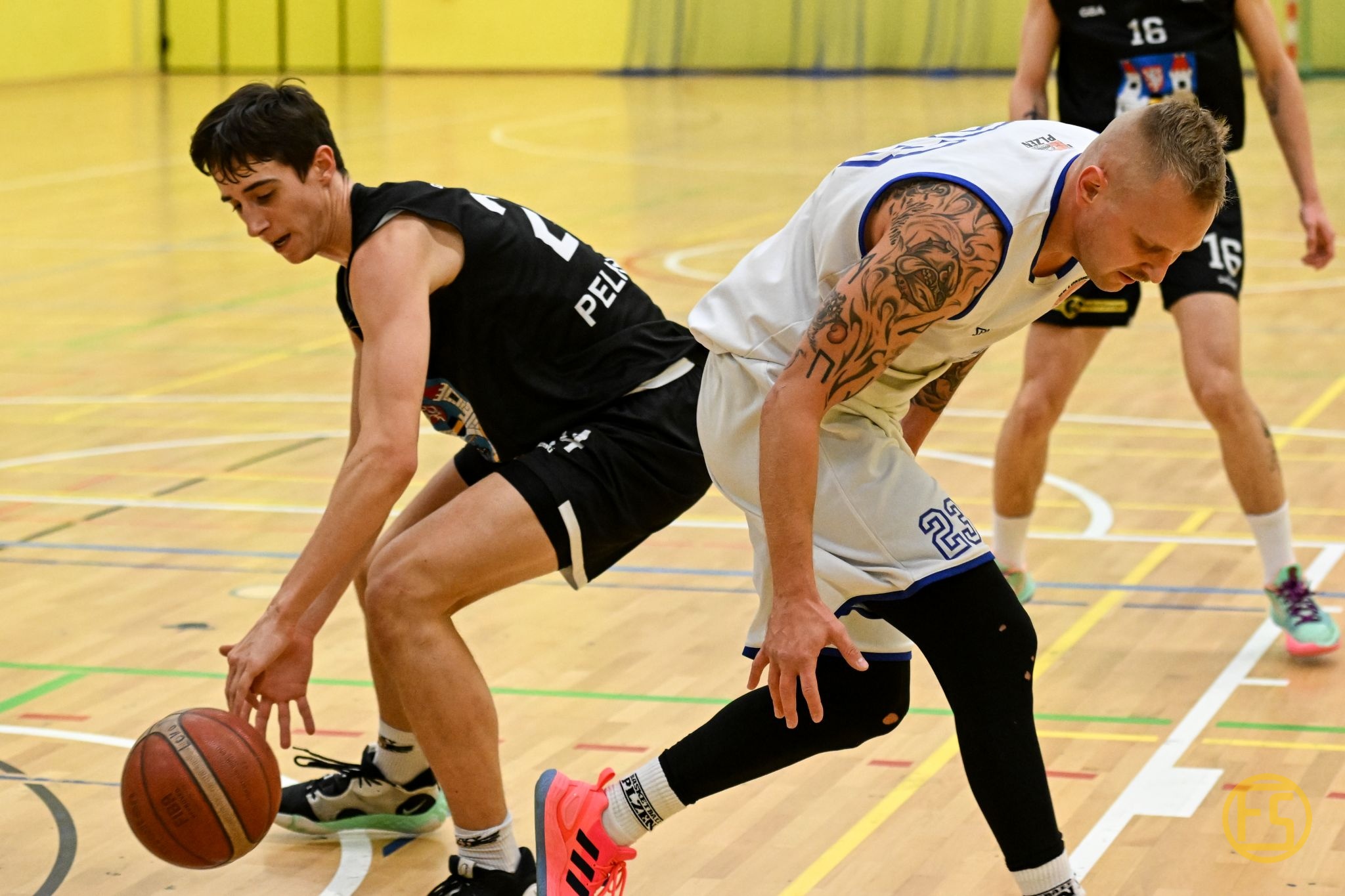 Plzeňští basketbalisté porazili na domácí půdě Sojky Pelhřimov 89:72 - FOTKY