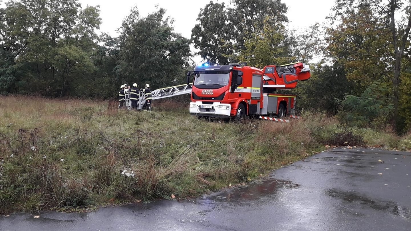 Hasiči úspěšně sundali hnízdo sršní asijských, které bylo nalezeno v Plzni na Skvrňanech