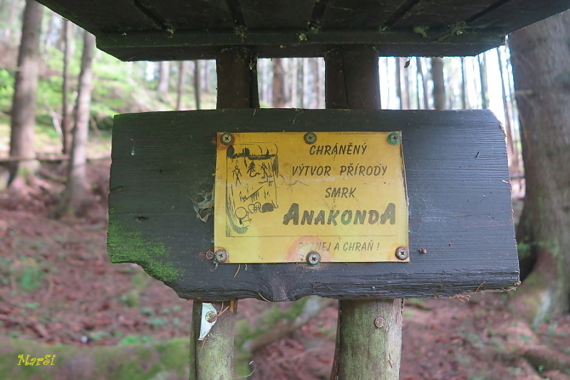 Tip na malý výlet: Vydejte se za anakondou na Tachovsko - FOTKY
