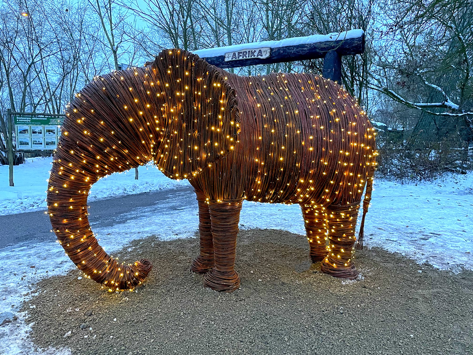 První slon v plzeňské zoo? Zatím jen svítící - FOTKY