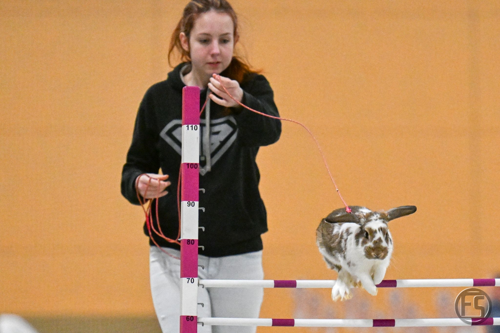 Králíci v akci! Plzeň hostila kvalifikaci na mistrovství ČR v králičím hopu - FOTKY