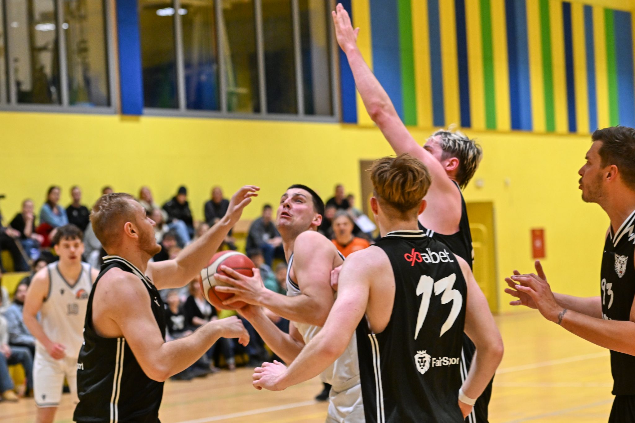 Basketbalový zápas Plzně s Radotínem přerušil kolaps fanouška - FOTKY