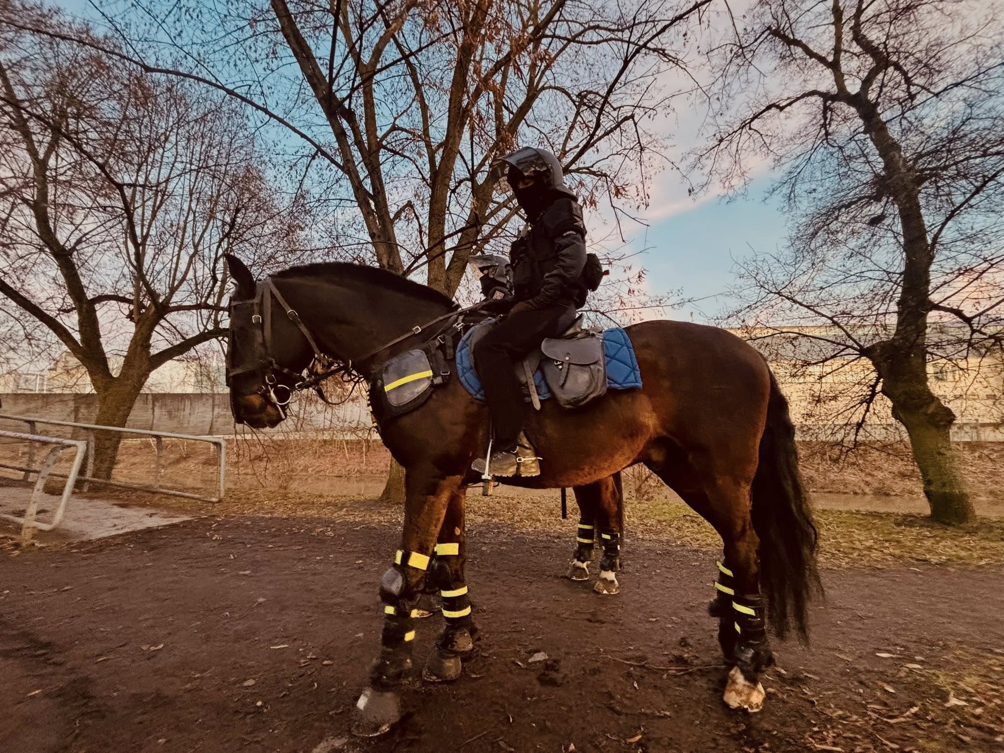 V Plzni se chystají policejní manévry. Do města míří fotbaloví fanoušci - FOTKY