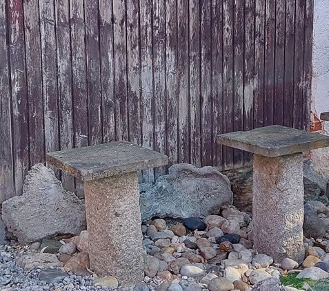 Tři desetiletí péče jsou pryč. Ze zahrady zmizely vzácné bonsaje
