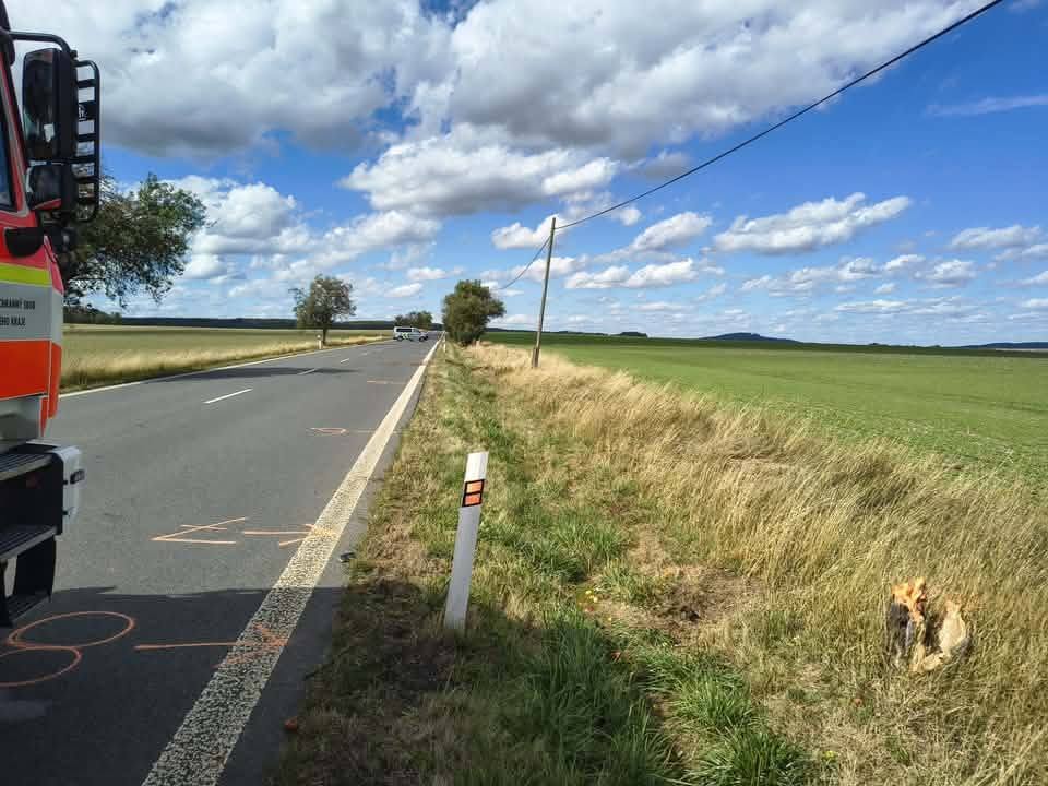 Nehoda na Domažlicku skončila tragicky. Řidič zemřel po nárazu do stromu - FOTKY