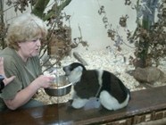Plzeňská ZOO má nové lemuří krasavice