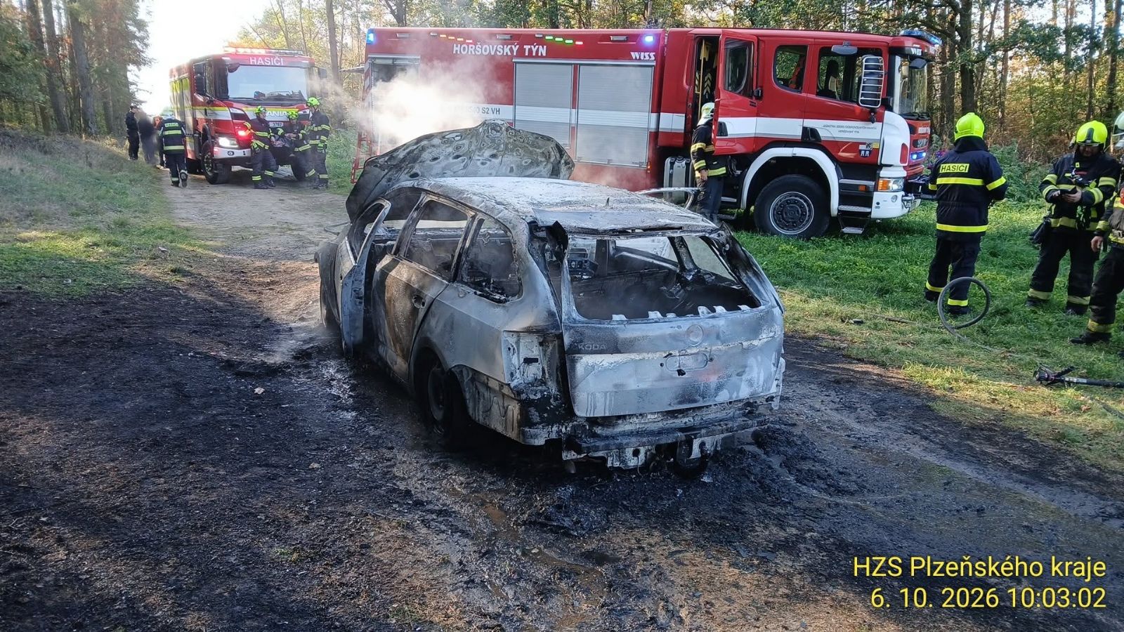 Hasiči bojovali s plameny v lese u Březí. Začalo tam hořet auto - FOTO