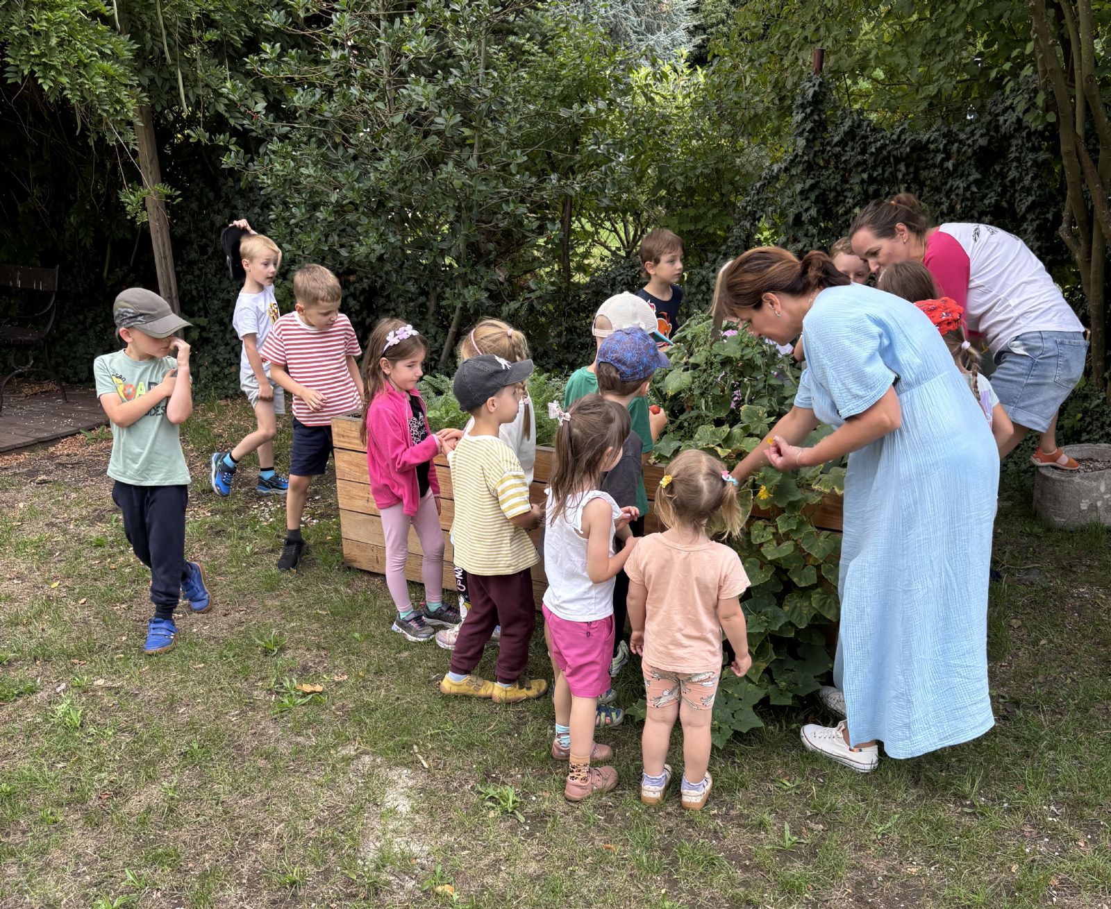 Malí zahradníci v akci! Děti z plzeňské mateřinky si pěstují vlastní zeleninu