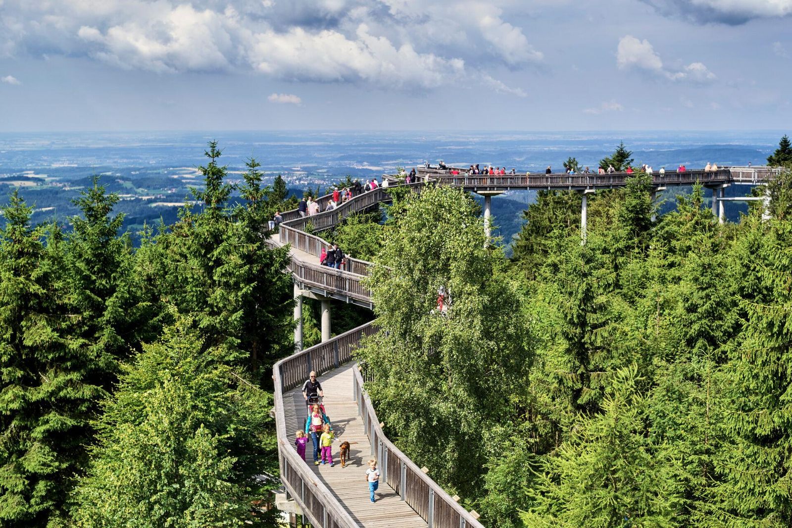 Waldwipfelweg Sankt Englmar: Bavorský les z ptačí perspektivy