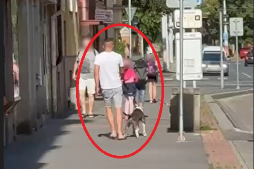 Ohavné týrání zvířat v Plzni. Policie žádá o pomoc s identifikací muže